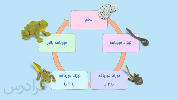 faradars